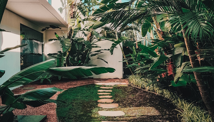 Entendendo a Diferença Entre Jardinagem e Paisagismo